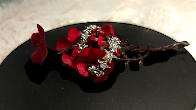 Yoniq.woman silver-tone hoop earrings with sparkling crystal star motifs resting on red flower petals